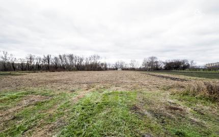 Rezervované!!!Na predaj stavebný pozemok v obci Baloň