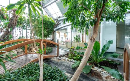 Prémiové VIP kancelárie na prenájom na Zlatých Pieskoch