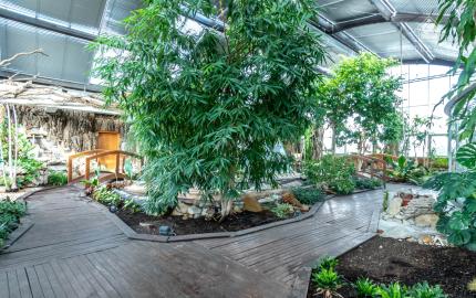 Prémiové VIP kancelárie na prenájom na Zlatých Pieskoch