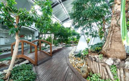 Prémiové VIP kancelárie na prenájom na Zlatých Pieskoch