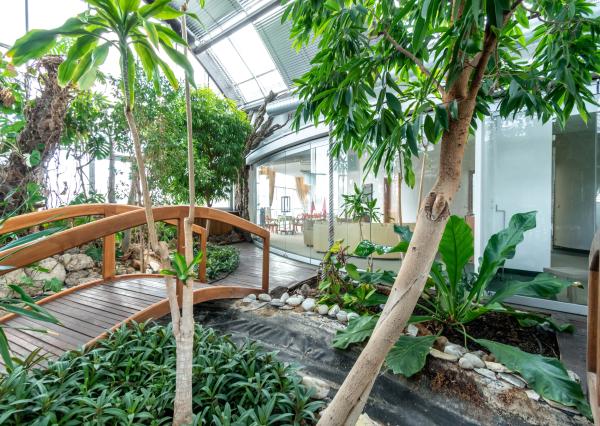 Prémiové VIP kancelárie na prenájom na Zlatých Pieskoch