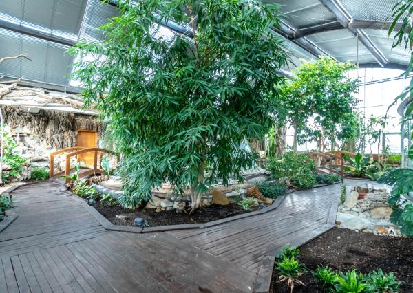 Prémiové VIP kancelárie na prenájom na Zlatých Pieskoch